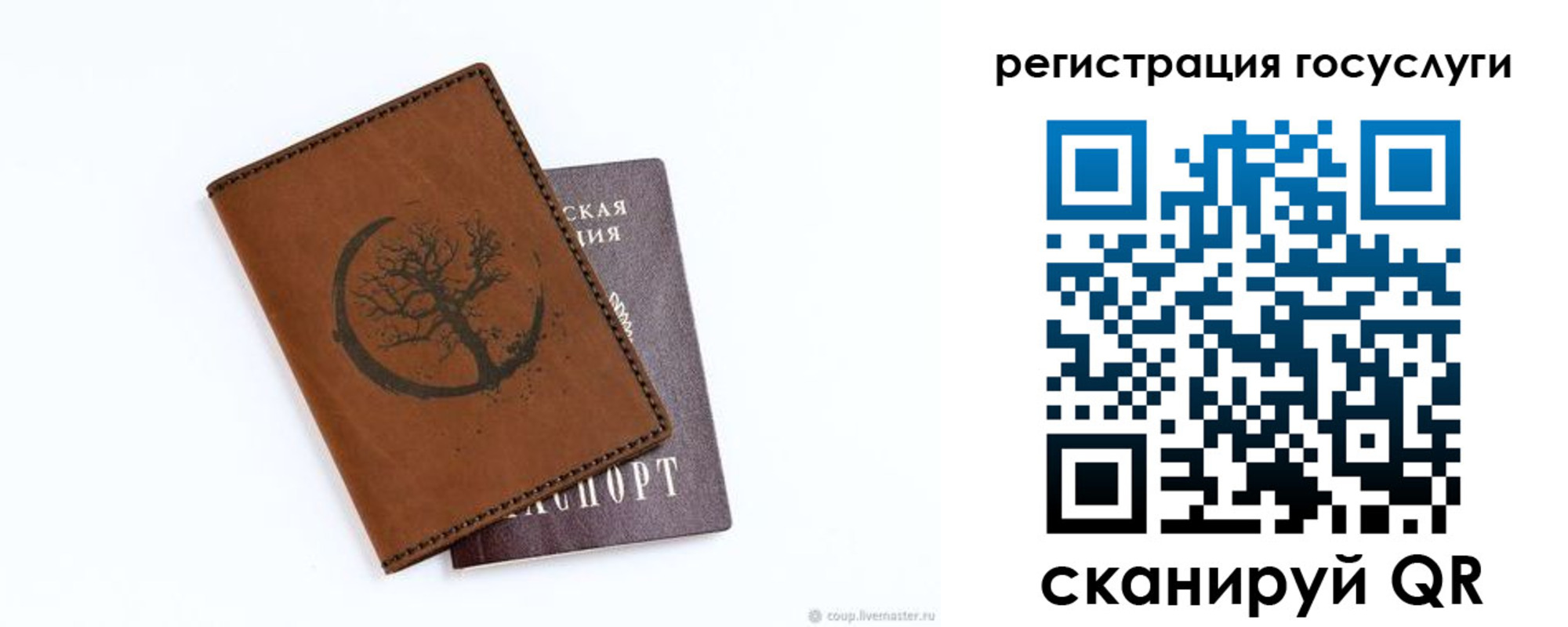 прописка для школы в Новороссийске